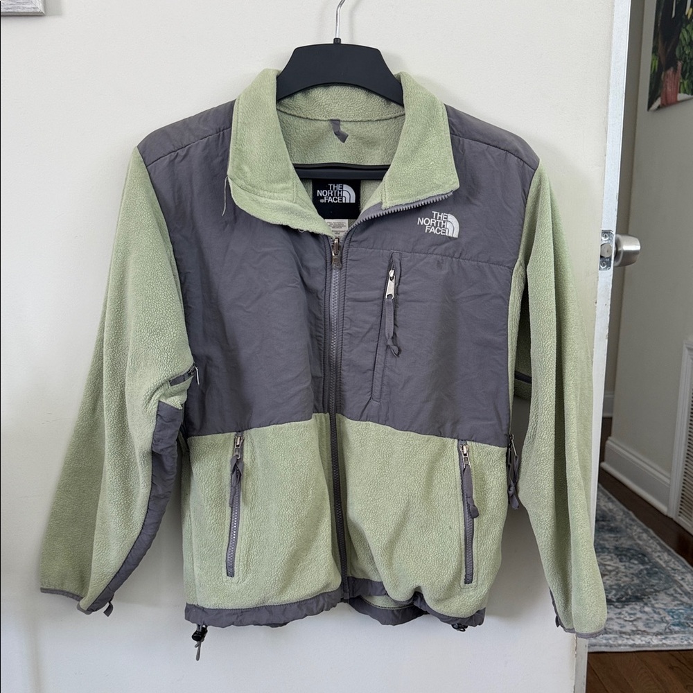 The North Face Green and Gray Jacket